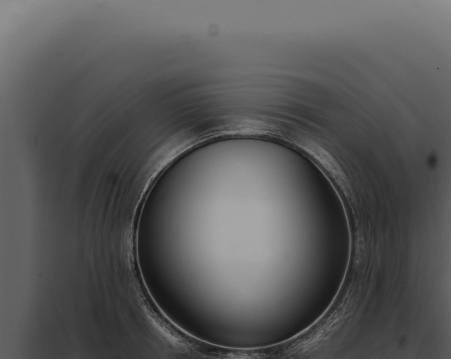 X0000097980850200804011743