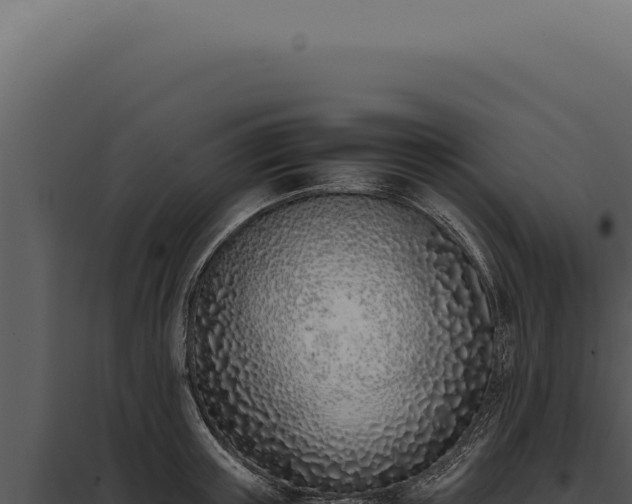 X0000097980851200804011743