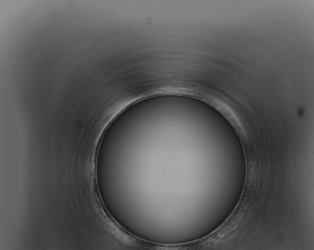 X0000097980852200804011743