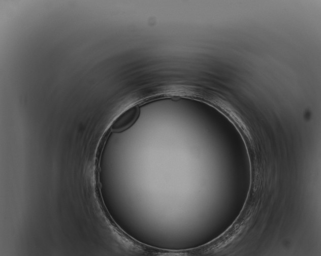 X0000097980853200804011743
