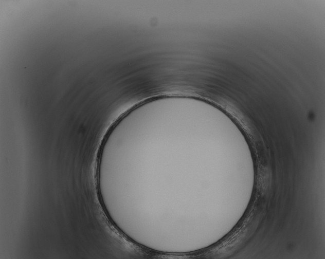X0000097980856200804011743