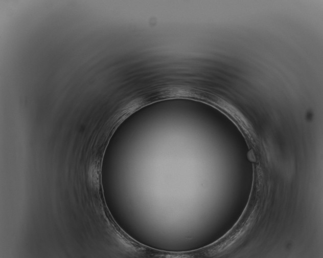 X0000097980857200804011743