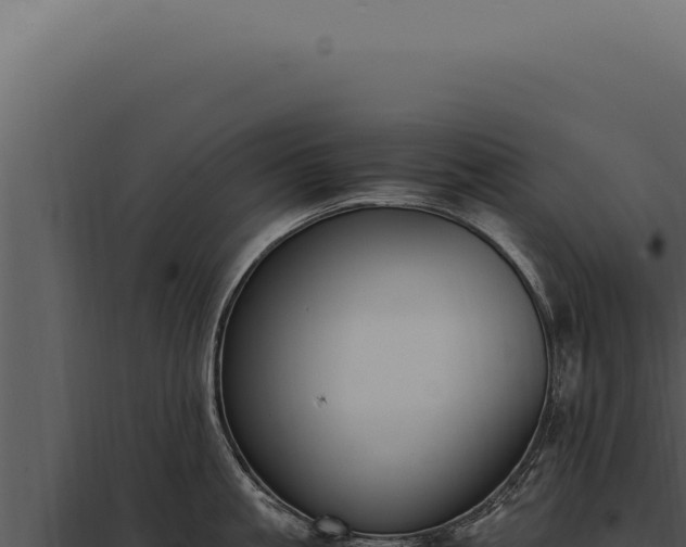 X0000097980861200804011743