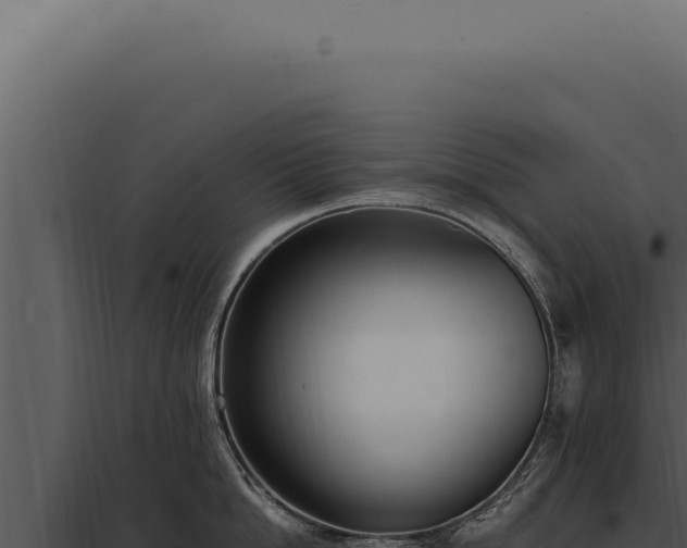 X0000097980862200804011743