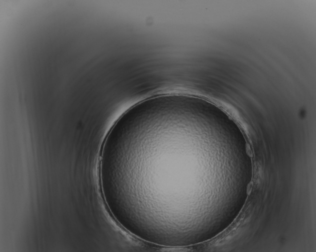 X0000097980863200804011743