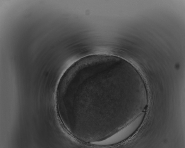 X0000097980864200804011743