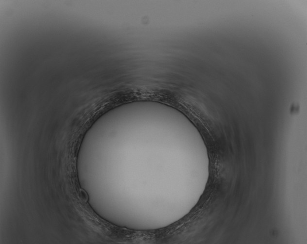 X0000097980865200804011743
