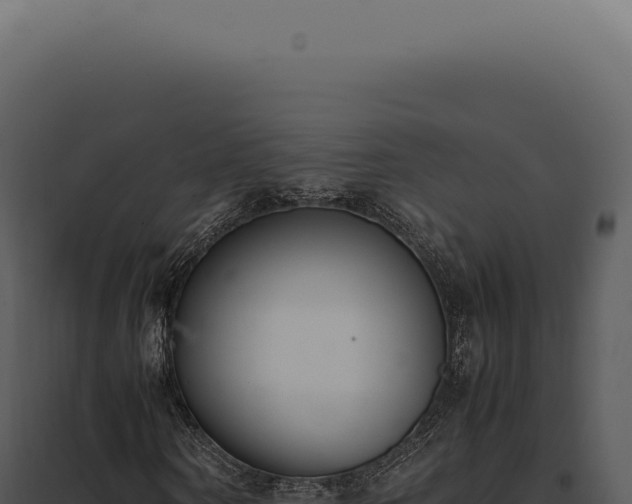 X0000097980866200804011743