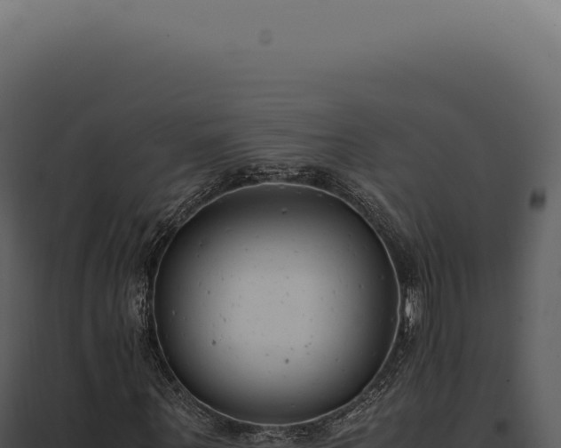 X0000097980867200804011743