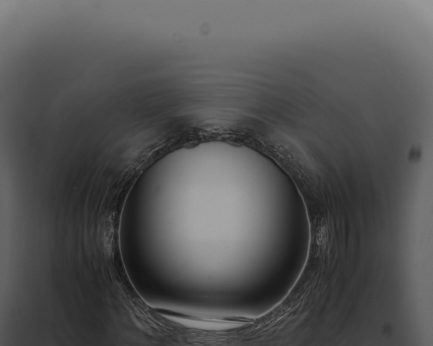 X0000097980868200804011743
