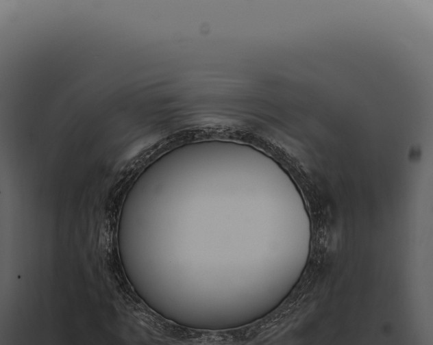 X0000097980869200804011743