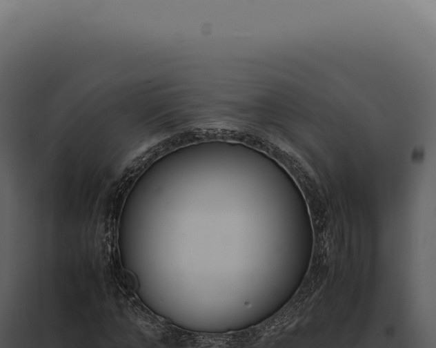 X0000097980870200804011743