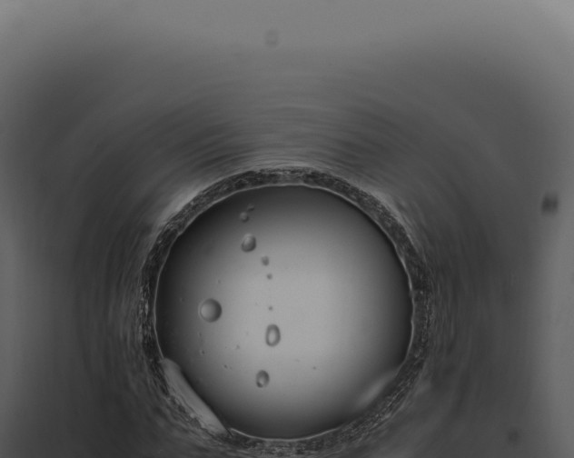 X0000097980871200804011743