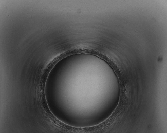 X0000097980872200804011743
