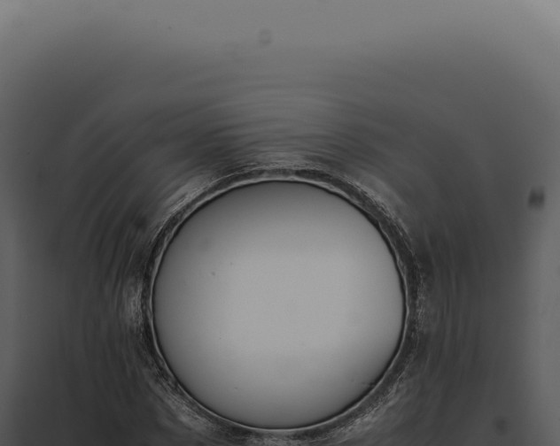X0000097980873200804011743