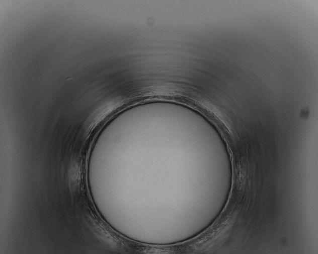 X0000097980874200804011743