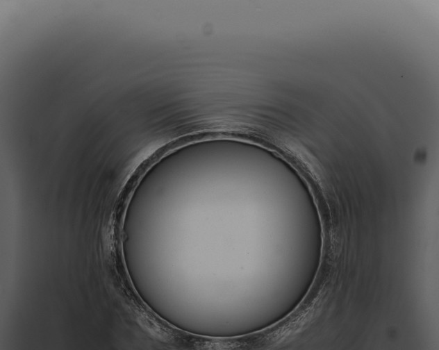 X0000097980875200804011742