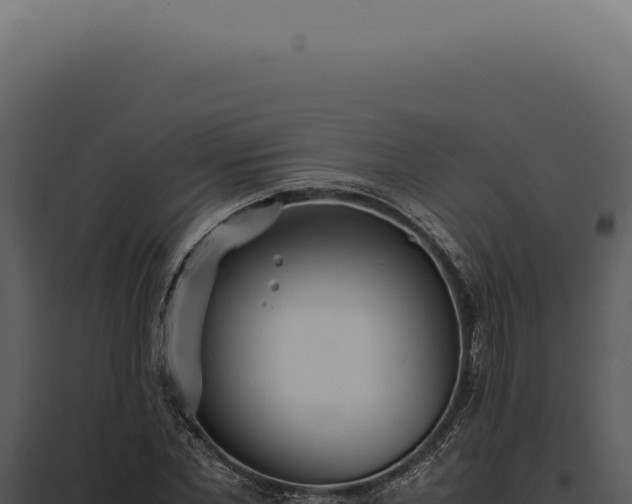 X0000097980877200804011742