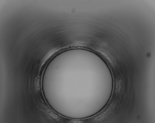X0000097980878200804011742