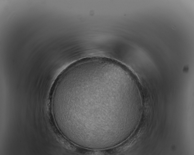 X0000097980879200804011742