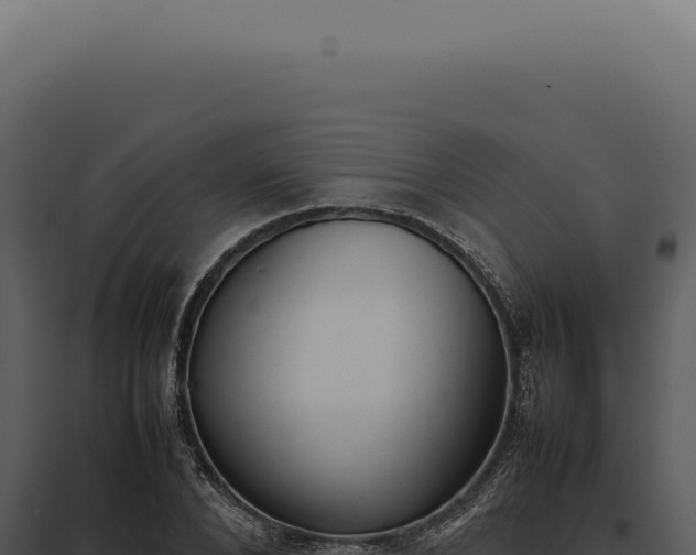 X0000097980880200804011742