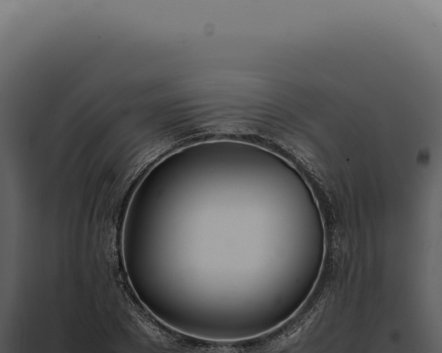 X0000097980881200804011742