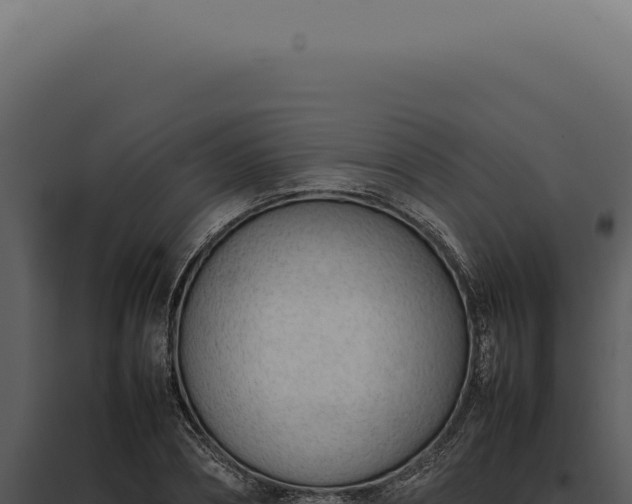 X0000097980882200804011742