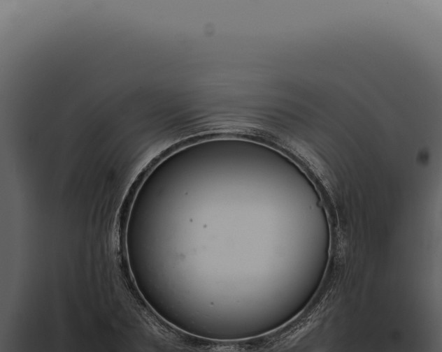 X0000097980883200804011742