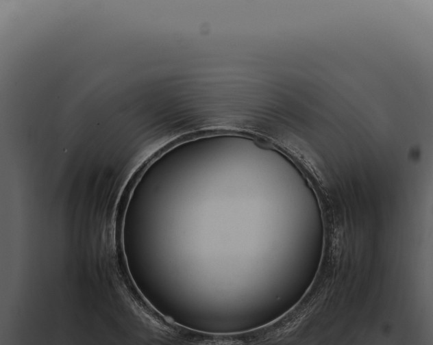 X0000097980884200804011742