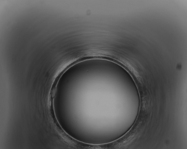 X0000097980885200804011742