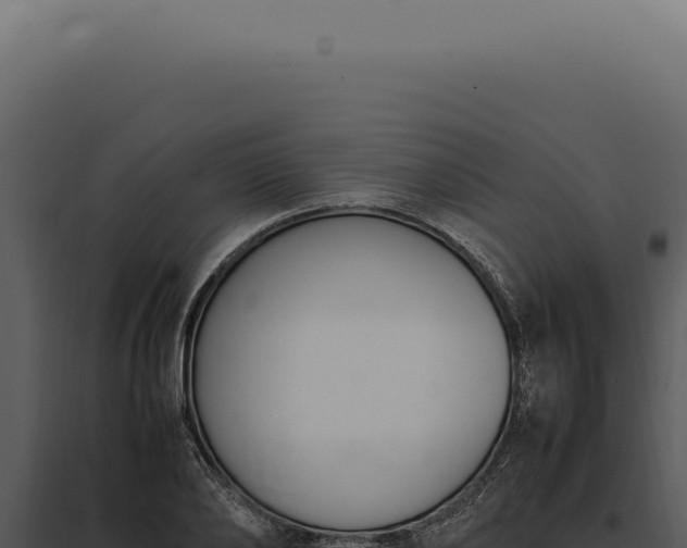 X0000097980886200804011742