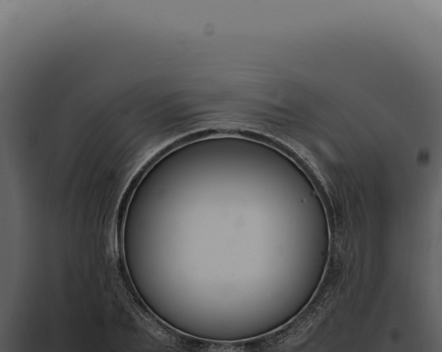 X0000097980887200804011742