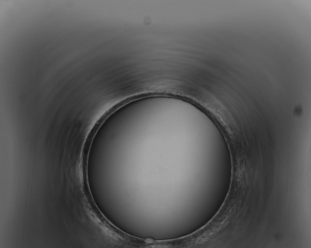 X0000097980888200804011742