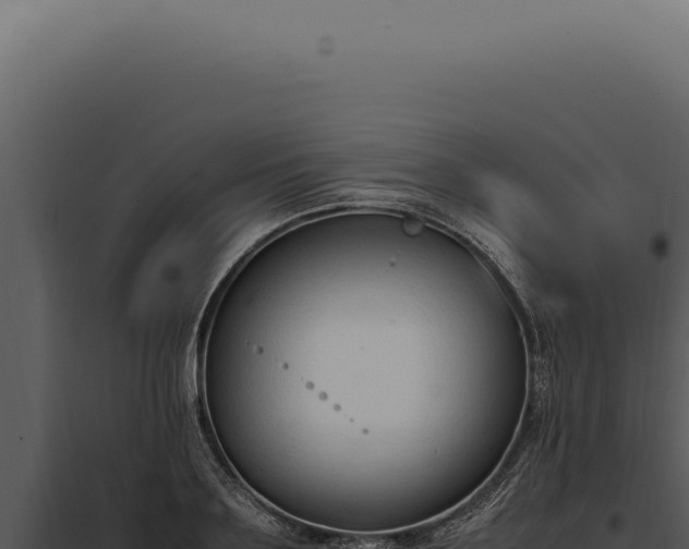 X0000097980891200804011742