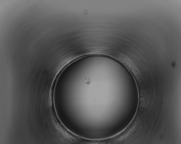 X0000097980892200804011742