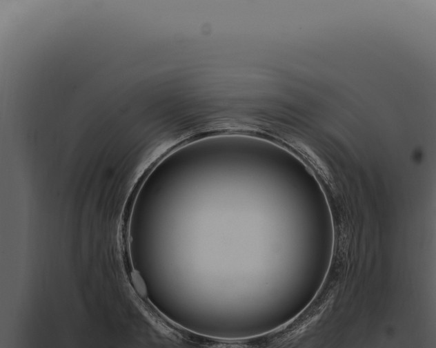 X0000097980893200804011742