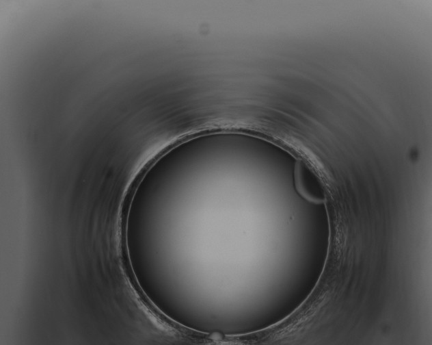 X0000097980894200804011742