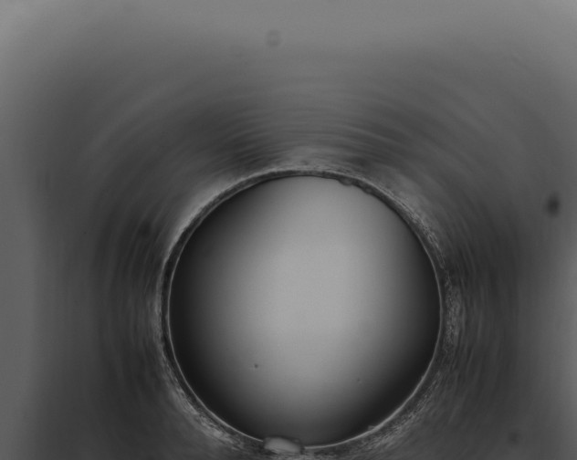 X0000097980896200804011742