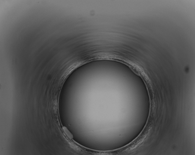 X0000097980897200804011742