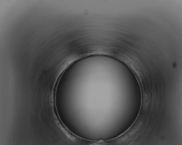 X0000097980898200804011742