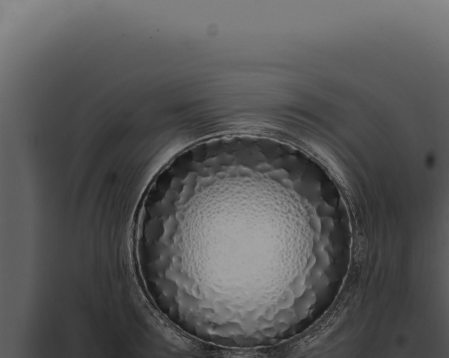 X0000097980899200804011742