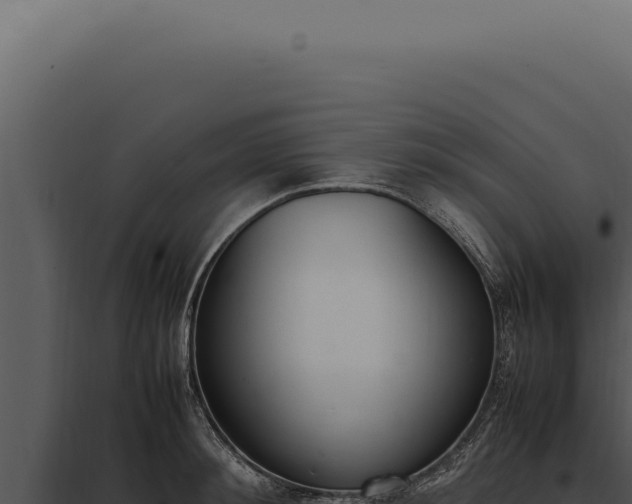 X0000097980900200804011742