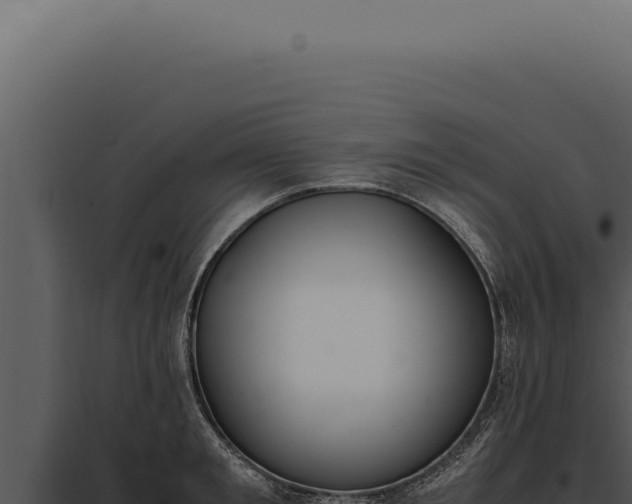 X0000097980901200804011742