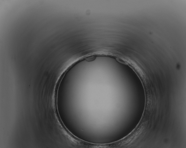 X0000097980902200804011742