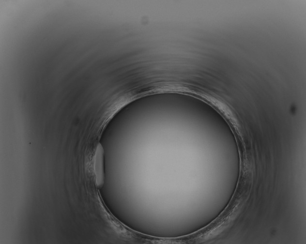X0000097980905200804011742
