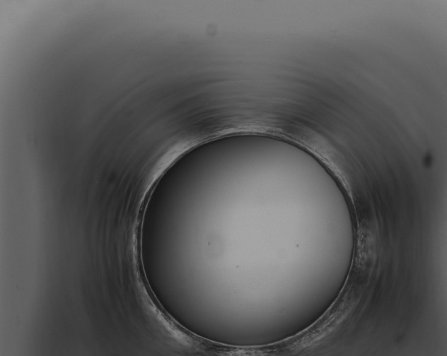 X0000097980906200804011742