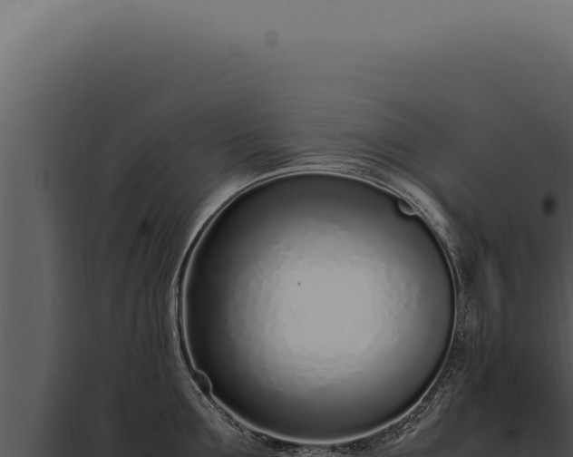 X0000097980907200804011742