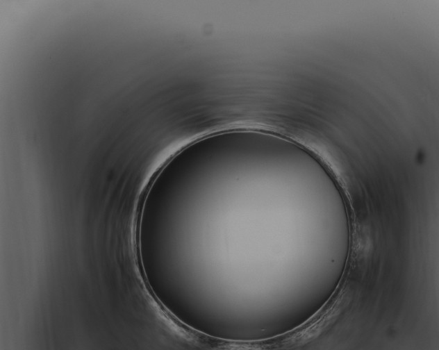 X0000097980910200804011742