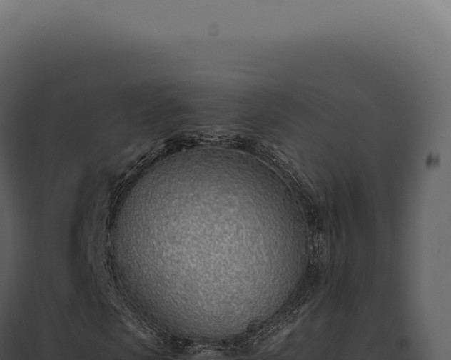 X0000097980913200804011741