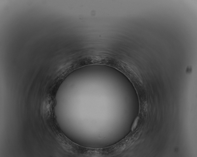 X0000097980914200804011741